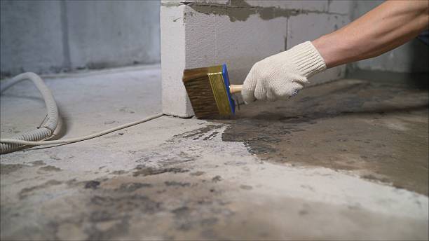 24/7 Emergency Crawl Space Encapsulation experts in Chatham, VA